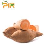 Cilembu Potato