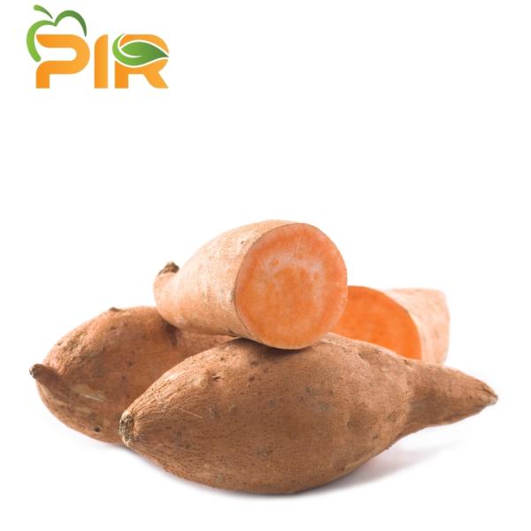 Cilembu Potato
