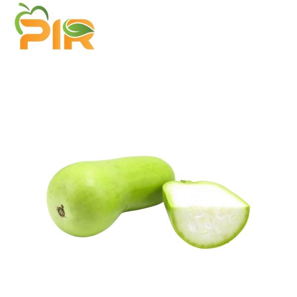 Water Gourd