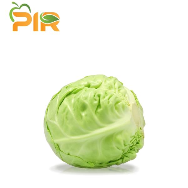 Cabbage