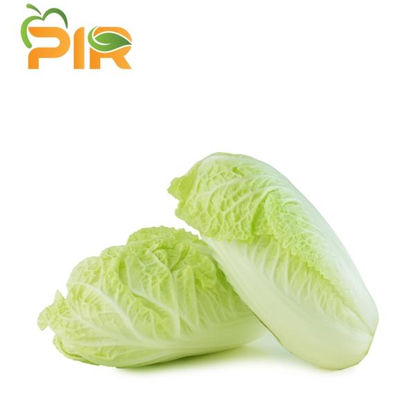 Chinese Cabbage