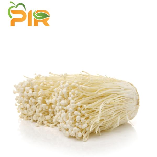 Enoki Mushroom