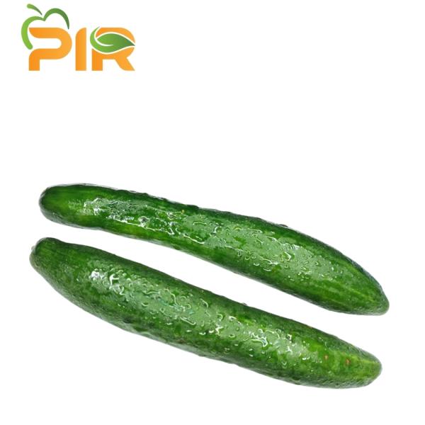 Cucumber