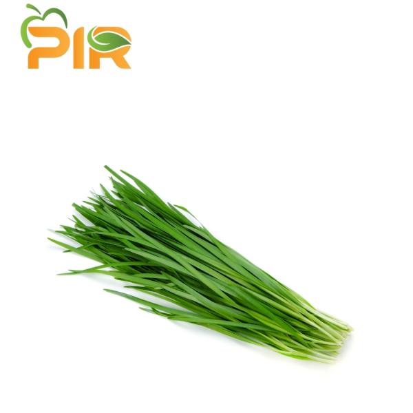 Garlic Chives