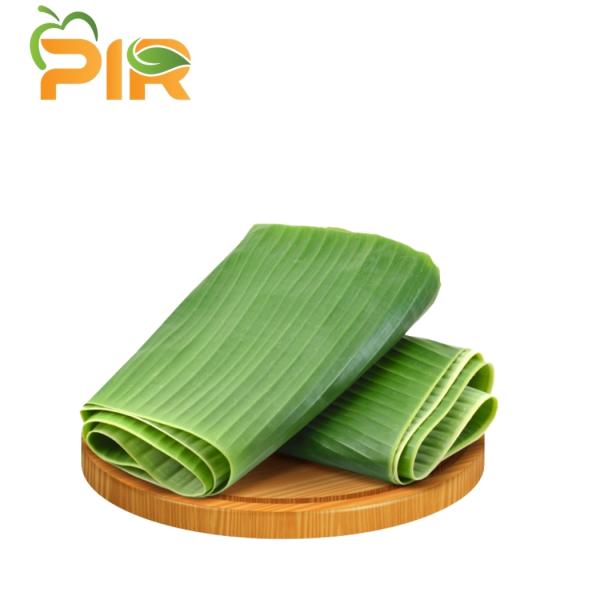 Banana Leaf
