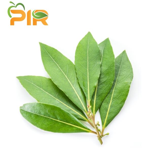 Bay Leaf