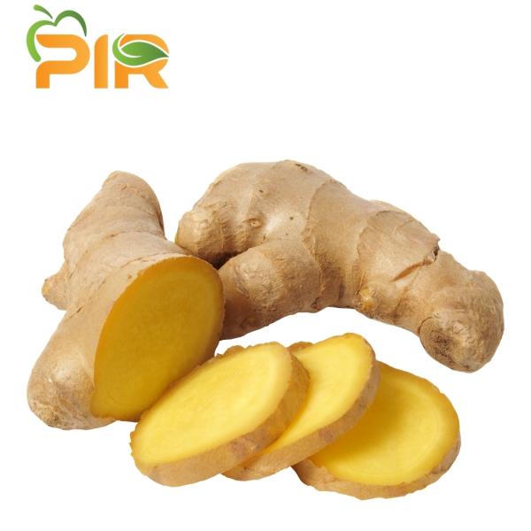 Ginger